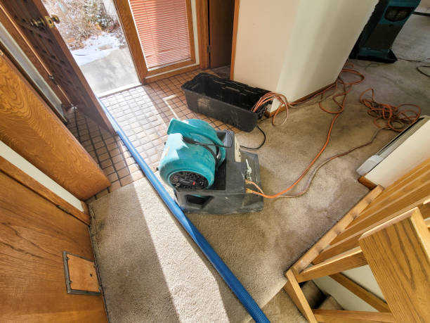 Best Mold removal after water damage  in Hanscom Af, MA