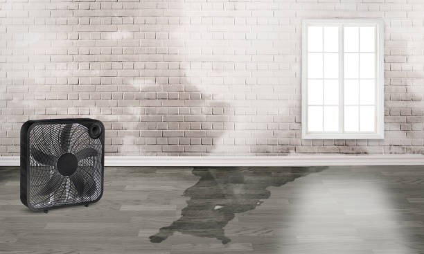 Best Water damage cleanup near me  in Hanscom Af, MA