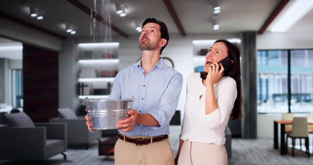  Hanscom Af, MA Water damage restoration Pros