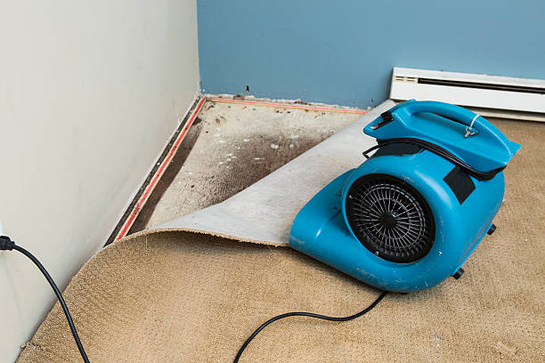Best Fire Damage Restoration  in Hanscom Af, MA